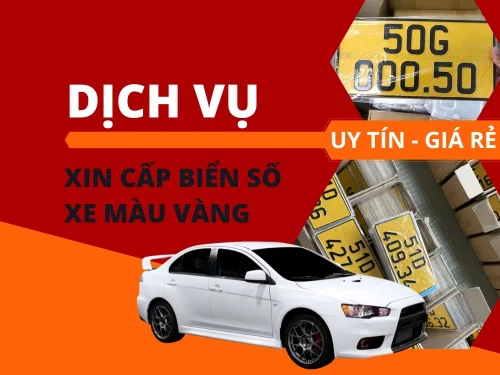 ĐỔI SANG BIỂN SỐ MÀU VÀNG TẠI BÌNH DƯƠNG NHANH CHÓNG